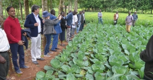 IFAD fund setup to mitigate rural food crisis in wake of COVID-19